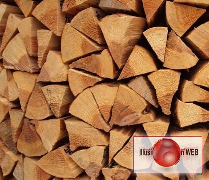 Продам дрова твердих порід дерева