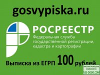 Выписка РОСРЕЕСТРА из ЕГРН заказать за 100 рублей gosvypiska.ru